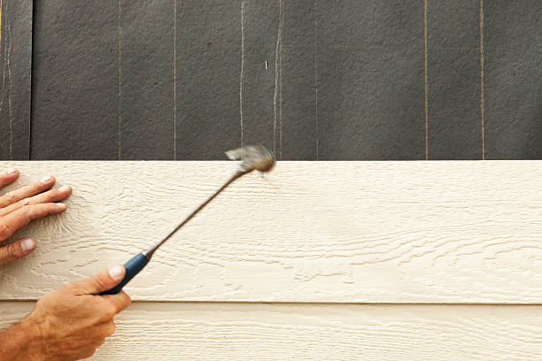 Best Vinyl Siding Installation  in Moorpark, CA